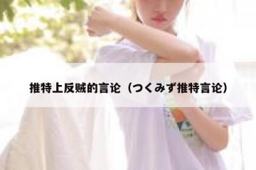 推特上反贼的言论（つくみず推特言论）