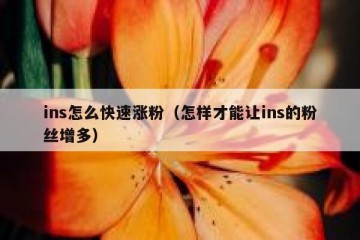 ins怎么快速涨粉（怎样才能让ins的粉丝增多）