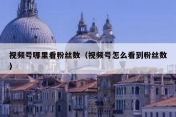 视频号哪里看粉丝数（视频号怎么看到粉丝数）