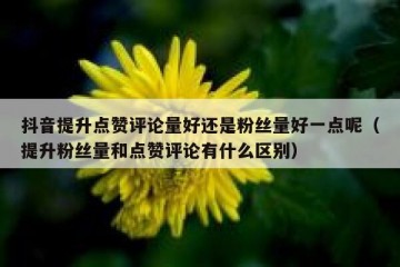 抖音提升点赞评论量好还是粉丝量好一点呢（提升粉丝量和点赞评论有什么区别）
