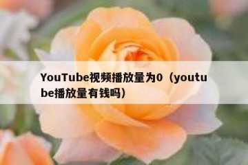 YouTube视频播放量为0（youtube播放量有钱吗）