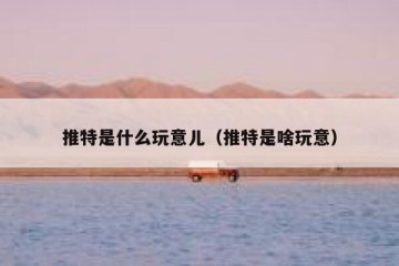 推特是什么玩意儿（推特是啥玩意）