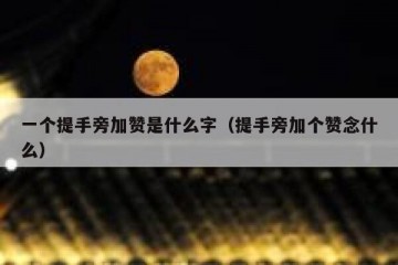 一个提手旁加赞是什么字（提手旁加个赞念什么）