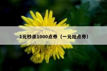 1元秒杀1000点券（一元抢点券）