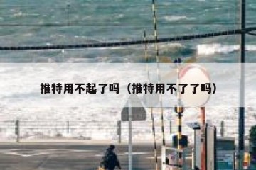 推特用不起了吗（推特用不了了吗）