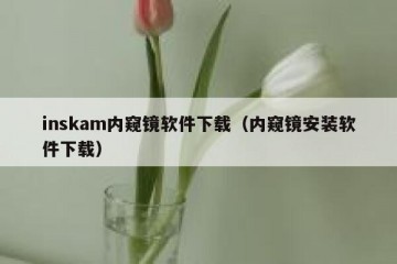 inskam内窥镜软件下载（内窥镜安装软件下载）