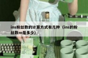 ins粉丝数的计算方式有几种（ins的粉丝数m是多少）
