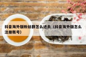 抖音海外版粉丝群怎么进去（抖音海外版怎么注册账号）
