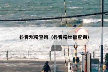 抖音涨粉查询（抖音粉丝量查询）