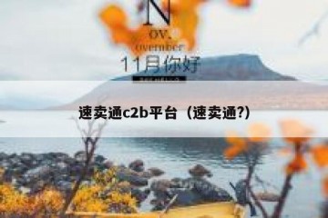 速卖通c2b平台（速卖通?）