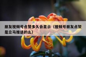 朋友视频号点赞多久会显示（视频号朋友点赞是立马推送的么）