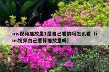 ins视频播放量1是自己看的吗怎么看（ins视频自己看算播放量吗）