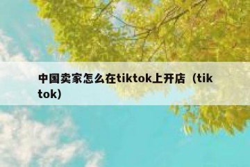 中国卖家怎么在tiktok上开店（tiktok）