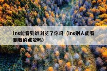 ins能看到谁浏览了你吗（ins别人能看到我的点赞吗）