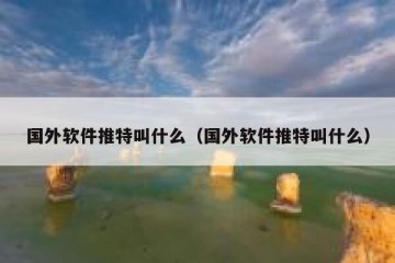 国外软件推特叫什么（国外软件推特叫什么）