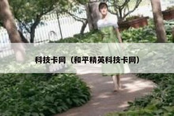 科技卡网（和平精英科技卡网）