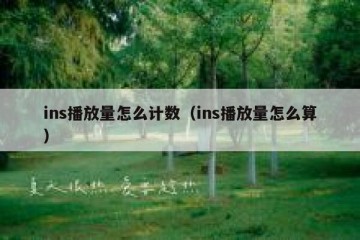 ins播放量怎么计数（ins播放量怎么算）