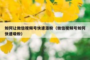 如何让微信视频号快速涨粉（微信视频号如何快速吸粉）