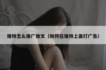 推特怎么推广推文（如何在推特上面打广告）