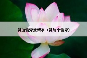 赞加偏旁变新字（赞加个偏旁）