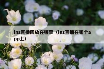 ins直播回放在哪里（ins直播在哪个app上）
