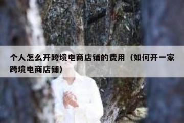 个人怎么开跨境电商店铺的费用（如何开一家跨境电商店铺）