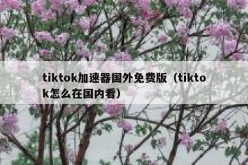 tiktok加速器国外免费版（tiktok怎么在国内看）
