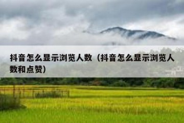 抖音怎么显示浏览人数（抖音怎么显示浏览人数和点赞）