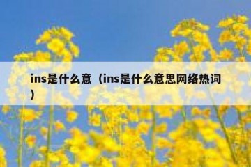 ins是什么意（ins是什么意思网络热词）