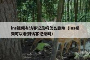 ins视频有访客记录吗怎么删除（ins视频可以看到访客记录吗）