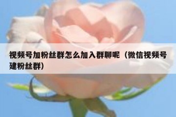 视频号加粉丝群怎么加入群聊呢（微信视频号建粉丝群）