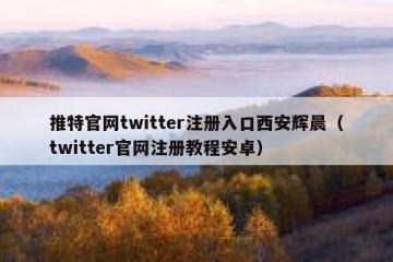 推特官网twitter注册入口西安辉晨（twitter官网注册教程安卓）