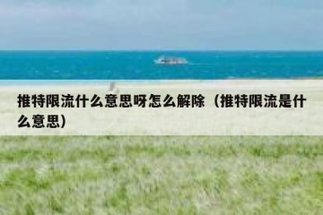 推特限流什么意思呀怎么解除（推特限流是什么意思）