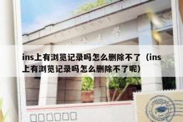 ins上有浏览记录吗怎么删除不了（ins上有浏览记录吗怎么删除不了呢）