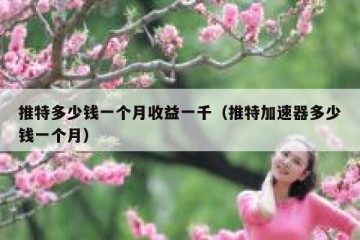 推特多少钱一个月收益一千（推特加速器多少钱一个月）