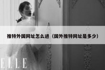 推特外国网址怎么进（国外推特网址是多少）