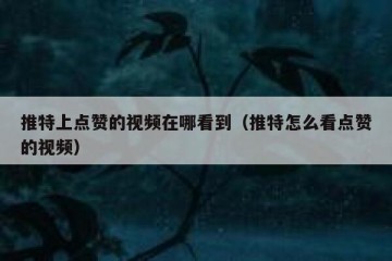 推特上点赞的视频在哪看到（推特怎么看点赞的视频）