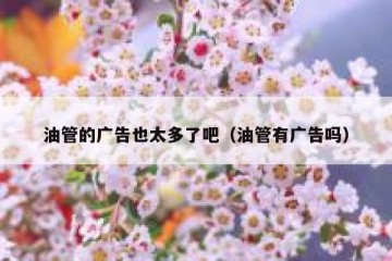油管的广告也太多了吧（油管有广告吗）