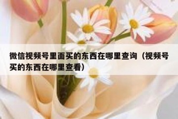 微信视频号里面买的东西在哪里查询（视频号买的东西在哪里查看）