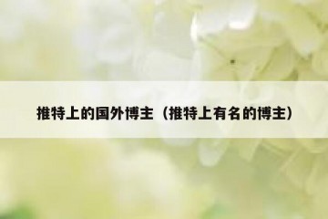 推特上的国外博主（推特上有名的博主）