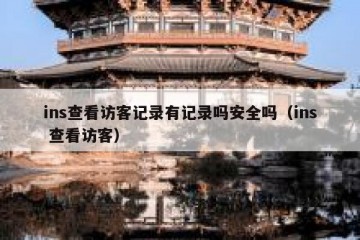 ins查看访客记录有记录吗安全吗（ins 查看访客）