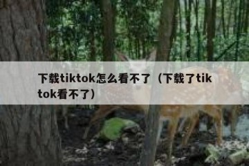 下载tiktok怎么看不了（下载了tiktok看不了）