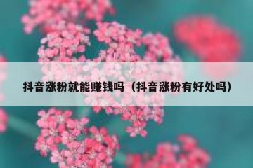 抖音涨粉就能赚钱吗（抖音涨粉有好处吗）
