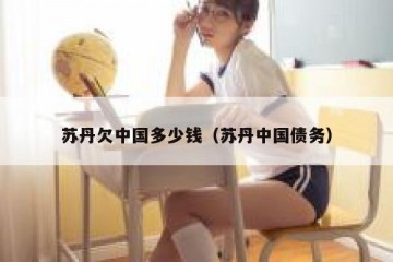 苏丹欠中国多少钱（苏丹中国债务）