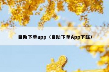 自助下单app（自助下单App下载）