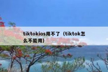 tiktokios用不了（tiktok怎么不能用）
