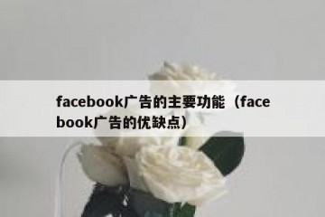 facebook广告的主要功能（facebook广告的优缺点）