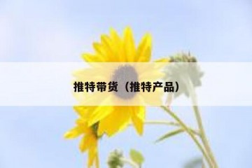 推特带货（推特产品）