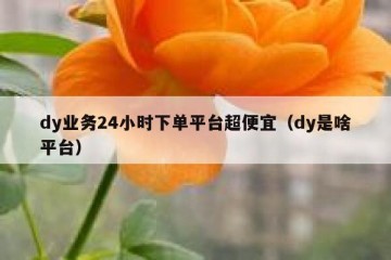 dy业务24小时下单平台超便宜（dy是啥平台）