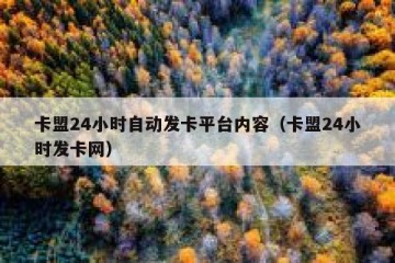 卡盟24小时自动发卡平台内容（卡盟24小时发卡网）